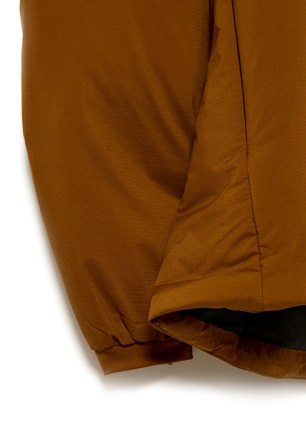 Arc'teryx Atom AR Men's Hoodie - Relic